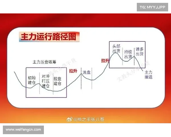 洞察对手心理掌握博弈节奏在战斗中以智取胜的完整策略与实战运用指南