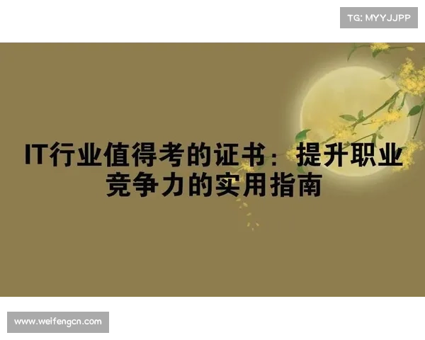 提升工程师职场竞争力的实用策略与技能发展指南