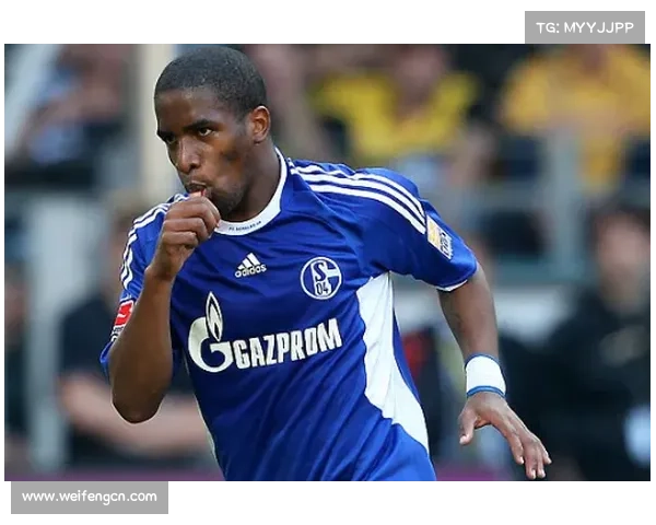 如何深入分析法尔范在沙尔克04的场上踢球位置及其战术作用