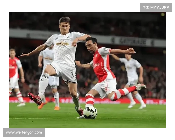 加的夫城足球队所在的联赛级别及其历史演变解析 加的夫城足球队所在的联赛级别及其历史演变解析