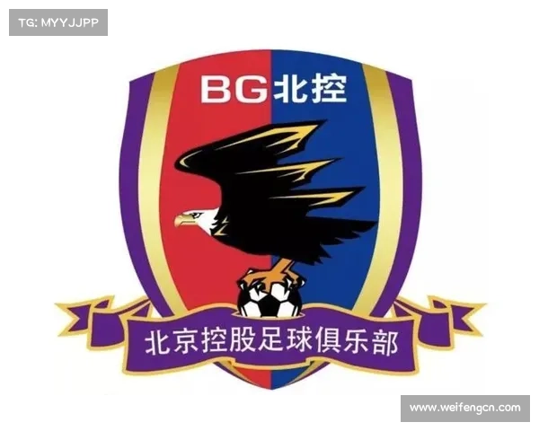 围绕足球虚拟队五大基本规则构建全面策略指南实践与管理框架探索