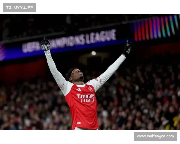 拜仁慕尼黑体育场背后的历史传承与命名故事揭秘