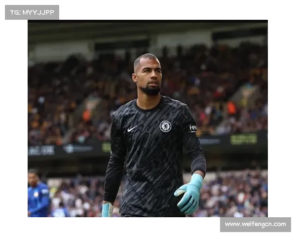 桑切斯职业生涯效力过的球队盘点及其表现分析